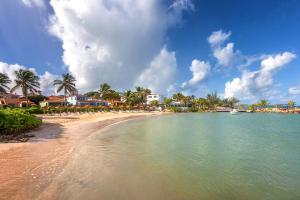 a beach with palm trees and houses on a sunny day at Ocean Point Beach Resort & Spa Adults Only in Saint Johnʼs +69 photos