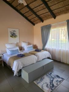 a bedroom with two beds and a window at Loubad Guest Farm in Modimolle +57 photos