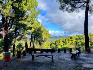 a picnic table and benches in a park with trees at Casa Cadalso, Mirador de Gredos, Madrid in Cadalso de los Vidrios +70 photos