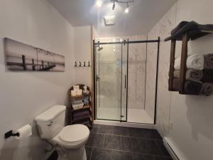 een badkamer met een douche en een toilet. bij Chalets du Domaine - RUSTIQUE in Notre-Dame-Des-Bois +43 foto's