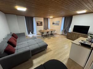 a living room with a couch and a television and a table at Blue Sky Apartments in Göschenen