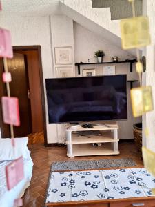 Una sala de estar con un televisor de pantalla plana grande. en Apartment with private pool and arbor, en Malinska