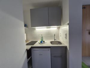 Η κουζίνα ή μικρή κουζίνα στο Mikra Homes24 in Meerane