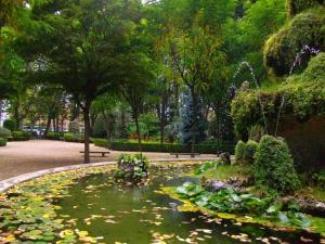 a garden with a pond with lily pads and trees at Central 2 bedroom apartment with terrace in Girona