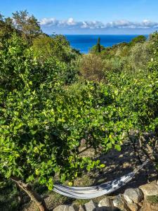 Naturlandskabet i nærheden af feriehuset