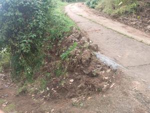 a dirt road withgrass on the side of the road at Valley Homestay in Devikolam
