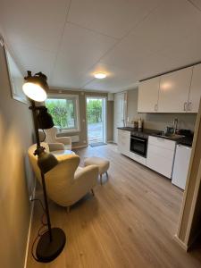 Η κουζίνα ή μικρή κουζίνα στο Modern studio apartment with wood-fired sauna