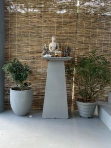 Φωτογραφία από το άλμπουμ του Vibra Hostel σε Σιγκιρίγια +5 φωτογραφίες