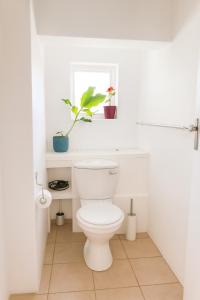a bathroom with a toilet with a plant on a shelf at Wildlife and Ocean Cottage in Scarborough