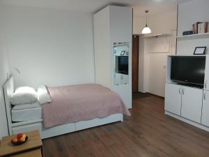 a bedroom with a bed and a flat screen tv at Alytus Studio 45 in Alytus