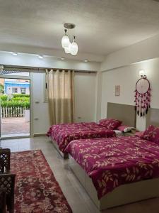 Wonder Land Hotel في رأس سدر: غرفة نوم بها سريرين ونافذة