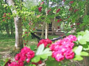 eine schwarze Hängematte in einem Garten mit rosa Blüten in der Unterkunft The Apple Bobber - Ukc7130 in Cratfield