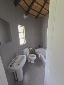 a bathroom with a sink and a toilet and a tub at Loubad Guest Farm in Modimolle