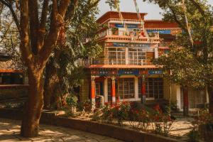 ein Gebäude mit einem Baum davor in der Unterkunft Shepherds Of Dharamshala in Dharamsala