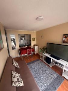 a living room with a couch and a large flat screen tv at Alta vista Concepción in Concepción