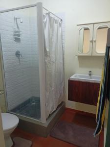 een badkamer met douche en toilet bij Mooi Uitsig Droom in Beaufort West