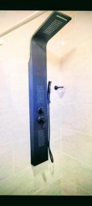 eine Dusche im Bad mit Glaswand in der Unterkunft Apart Mi Kaú in Catriel