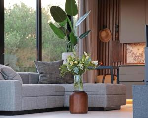 帕尔Olijvenkraal Winelands Lodge的相册照片