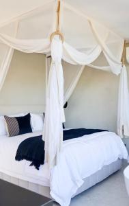 帕尔Olijvenkraal Winelands Lodge的相册照片