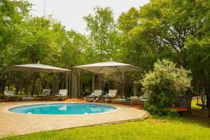 Πισίνα στο ή κοντά στο Thaba Lodge Black Rhino Pilanesberg