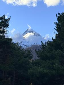 a mountain in the distance with trees in the foreground at ADRESATI Stepantsminda in Stepantsminda