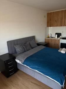 Una cama o camas en una habitación de Apartman Ika 1N