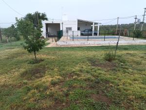 een kleine boom in een veld voor een huis bij Las Madreselvas in Villa de la Quebrada