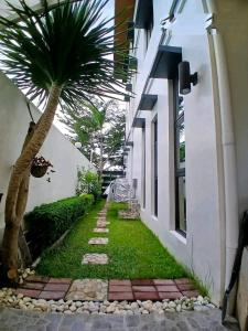 Stella Dream Escape في مانيلا: نخلة بجانب مبنى به ممشى