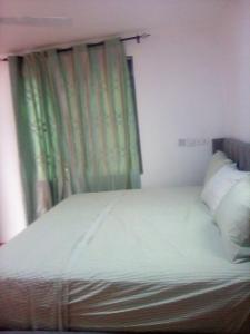 ein Schlafzimmer mit einem Bett mit einem grünen Vorhang in der Unterkunft Regal Royal Suites in Kokrobite