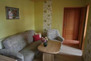 ein Wohnzimmer mit Sofa und Tisch in der Unterkunft Wohnung in Ilfeld mit Grill und Garten in Harztor