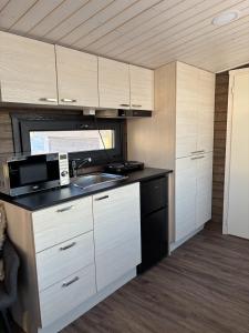 a kitchen with a sink and a microwave at Mystical Lapland Cabin in Rovaniemi