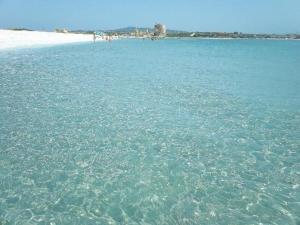 a large body of water with a beach in the background at Stintino Living Apartaments in Stintino