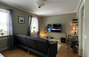 Μια τηλεόραση ή/και κέντρο ψυχαγωγίας στο The Doctor's Apartment +1 φωτογραφίες