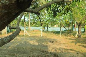 a view of a park with a tree at Thiramizhi in Ernakulam