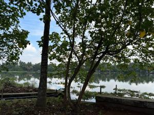 Φωτογραφία από το άλμπουμ του Thiramizhi σε Ernakulam