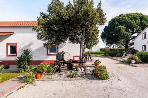 En have udenfor Casa das Pipas Palmela #3