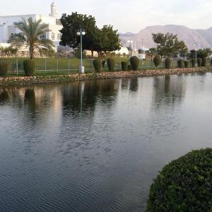 Φυσικό τοπίο κοντά σε αυτό το hostel