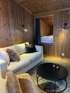 Χώρος καθιστικού στο Charming and modern ski-in ski-out cottage