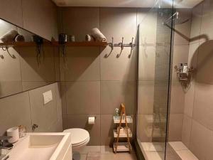 a bathroom with a shower and a toilet and a sink at Wild Olive 65 Farmhouse Style in Windhoek +35 photos