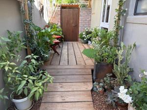 Vườn quanh Fig Tree +10 ảnh