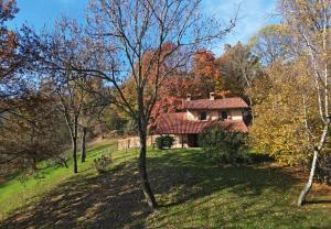 a house in the middle of a field with trees at Il portico sulla valle, Bioglio in Valle San Nicolao