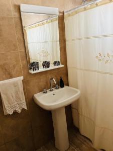 une salle de bain avec un lavabo et un rideau de douche dans l'établissement Corazón de Ayrampos APART, à Villa Dolores 8 autres photos