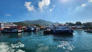 a group of boats docked in a body of water at Sarin Guesthouse สาริน in Koh Tao