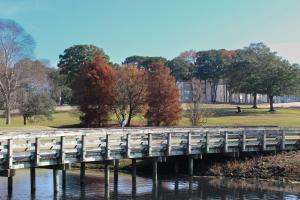 Φυσικό τοπίο κοντά σε αυτό το διαμέρισμα +6 φωτογραφίες