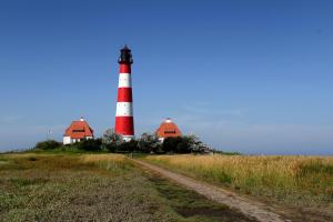 Природа в окрестностях отеля +10 фотографий