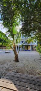 Κήπος έξω από το Lickety Split-Oceanview with Rooftop Escape