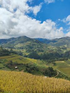 Φυσικό τοπίο κοντά σε αυτό το δωμάτιο σε οικογενειακή κατοικία +19 φωτογραφίες