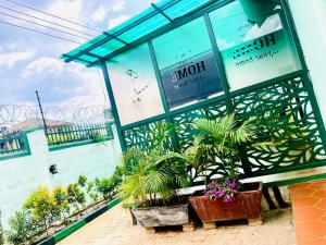 Κήπος έξω από το Marama Stays +4 φωτογραφίες