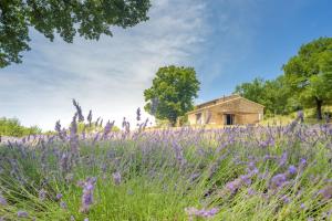 Κήπος έξω από το Domaine de L'Essentiel de Lavande