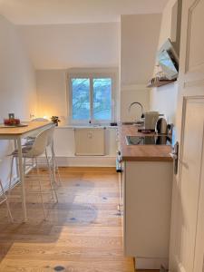 Kuchyň nebo kuchyňský kout v ubytování Cozy Apartment Klutert